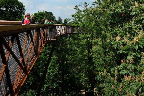 Treetop walkway