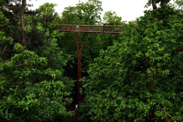 Treetop walkway