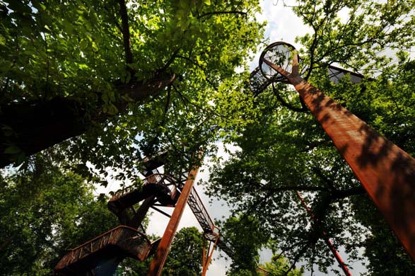 Treetop walkway