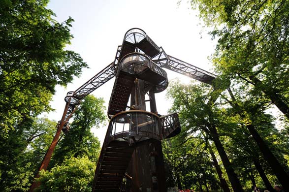 Treetop walkway