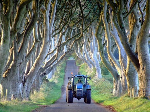 UK landscape photographer of the year