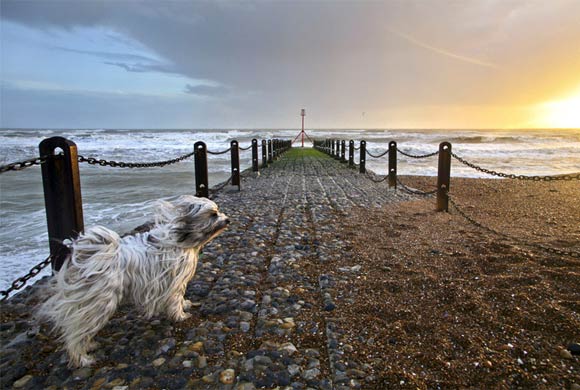 UK landscape photographer of the year