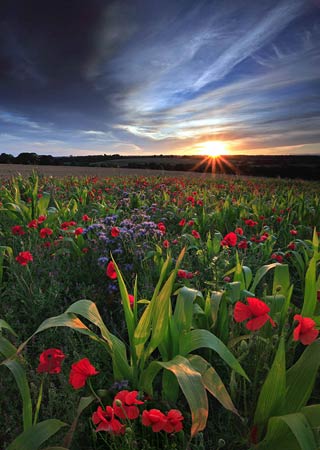 UK landscape photographer of the year