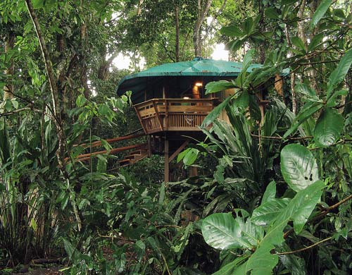 The Tree House Hotel. Treehouse Hotel, Punta Uva,