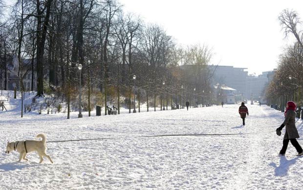 Brussels under snow