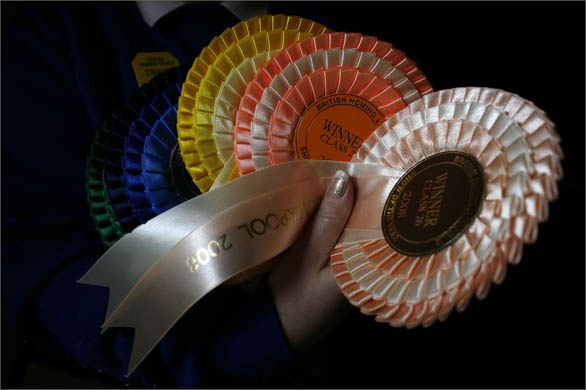 The British Homing World Show of the Year at the Blackpool Winter Gardens