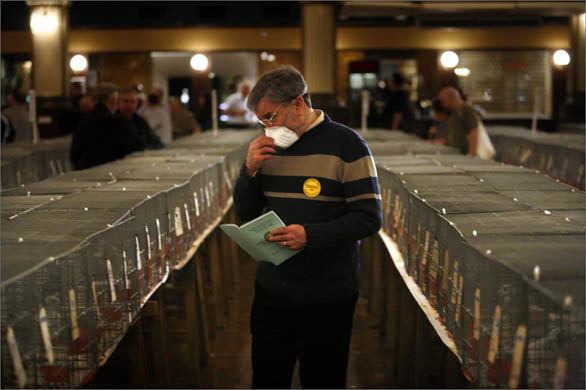 The British Homing World Show of the Year at the Blackpool Winter Gardens