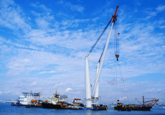 The wreck of the Mary Rose is raised from the seabed