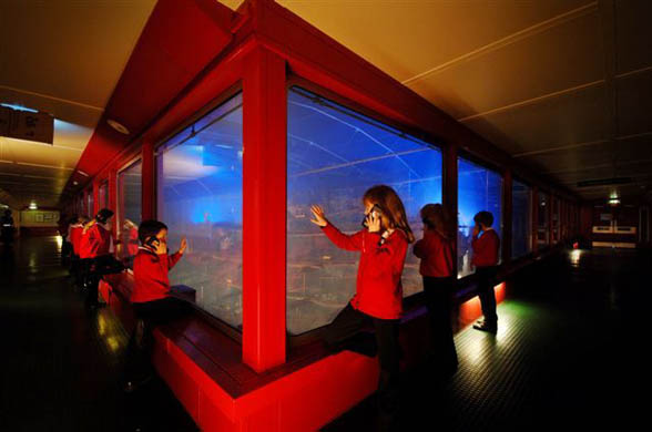 A school party visit the Mary Rose