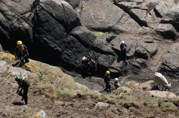 Bullock rescued by helicopter