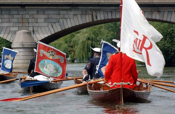 swan upping