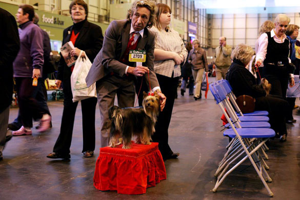 Crufts 2008 day 1