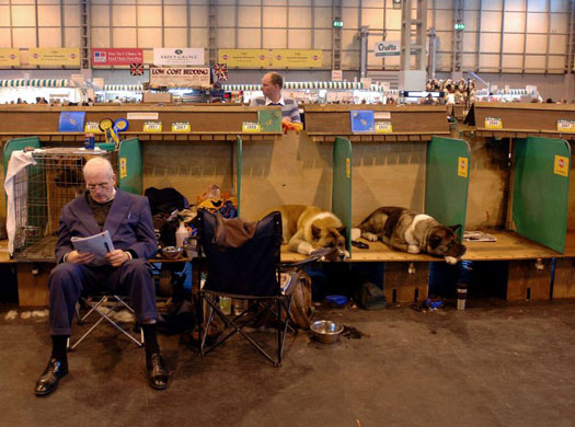 Crufts 2008 day 1