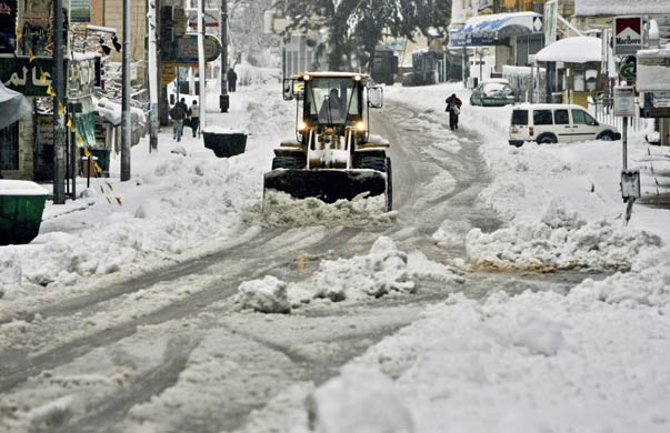 Wild macaques keep eachother warm in Qianling Park