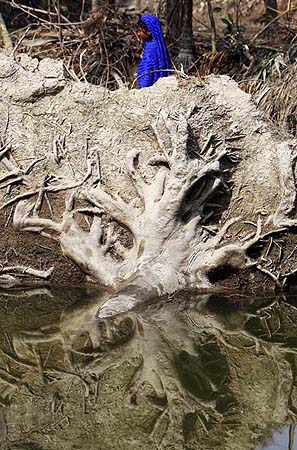 Jalarghat, Bangladesh