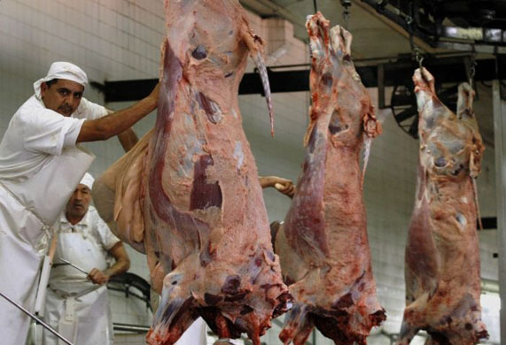 Yaguane Slaughterhouse