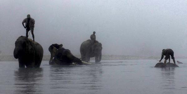 Chitwan District, Nepal