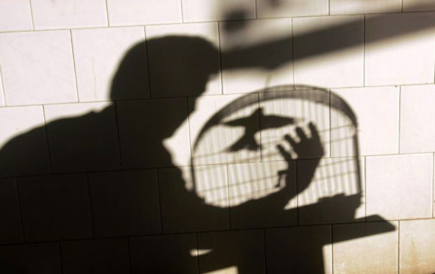 24 hours in pictures 1/4/8