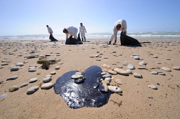 24 hours in pictures 1/4/8