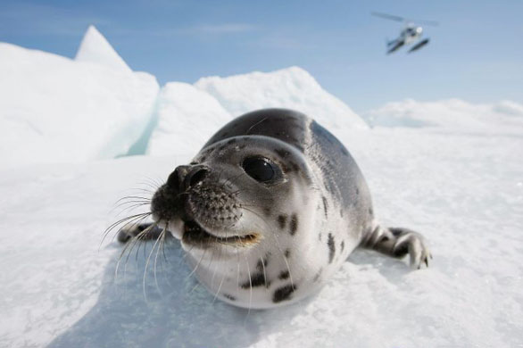 24 hours in pictures 1/4/8