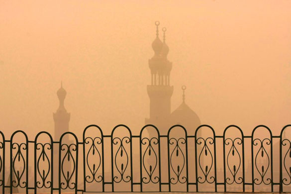 24 hours in pictures 7/4/8