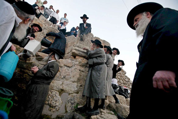 24 hours in pictures 7/4/8