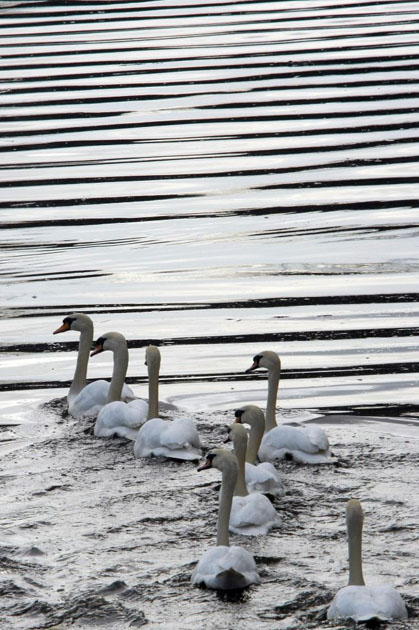 24 hours in pictures 7/4/8