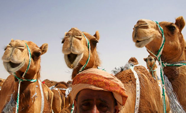 24 hours in pictures 7/4/8