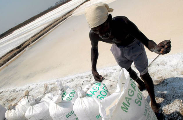 An Indian worker stiches bags containing salt at a salt pan in Mumbai India