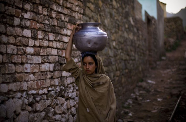 24 hours in pictures 11/4/8