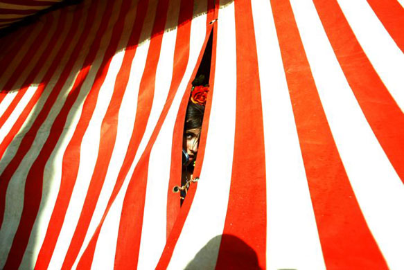 24 hours in pictures 11/4/8