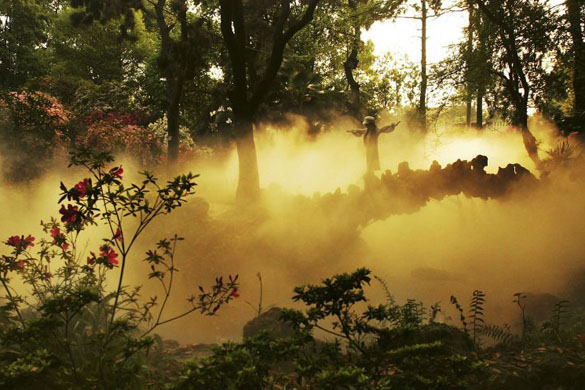 24 hours in pictures 17/4/8