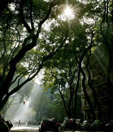 Buenos Aires, Argentina: Sunlight filters through smoke from burning pastures on the outskirt of the city