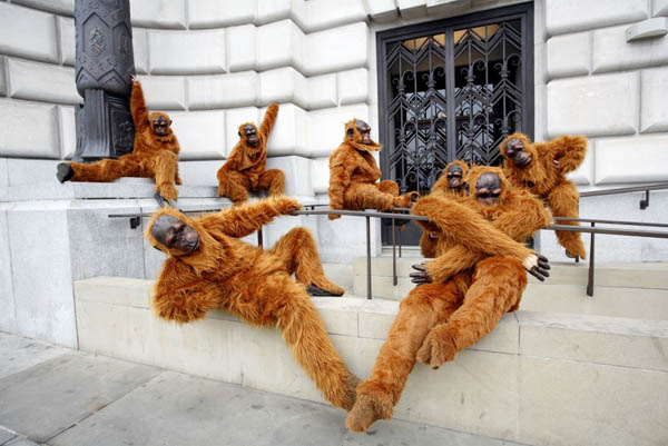 London, UK: Greenpeace campaigners dressed in orang-utan costumes protest outside the offices of Unilever