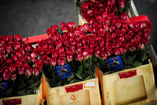 Aalsmeer flower auction