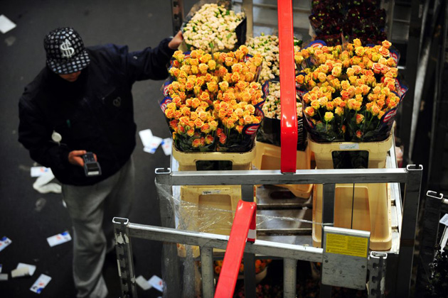 Aalsmeer flower auction