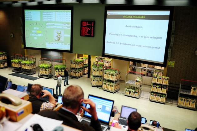 Aalsmeer flower auction