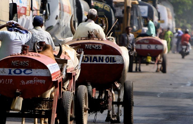 Indian men drive bullock carts used for transporting oil in Mumbai