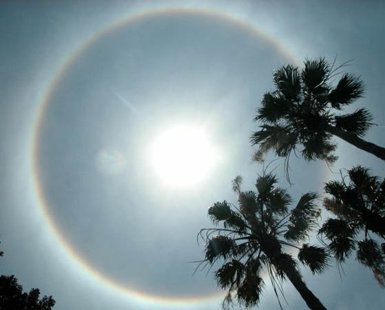 A prism-like halo encircles the sun high over the Florida Keys