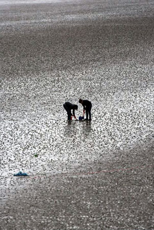 Weston-super-Mare, UK: A couple dig on the beach at low tide as nearby workers look for coins underneath the ruins of the fire damaged pier