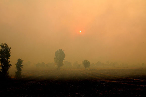 Antalya, Turkey: Smoke blots out the sky as fires engulf woodland