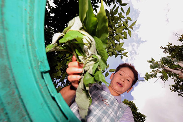 Kamikatsu Town in Shikoku, Japan