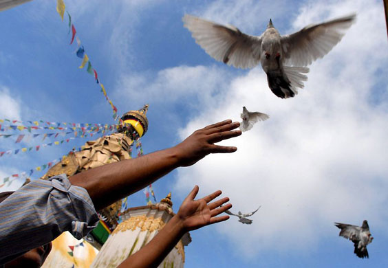 Kathmandu, Nepal: Political activists release doves during a Remembrance Day for Victims of the atom bomb in Hiroshima