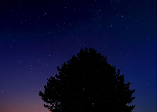 Perseid meteor shower