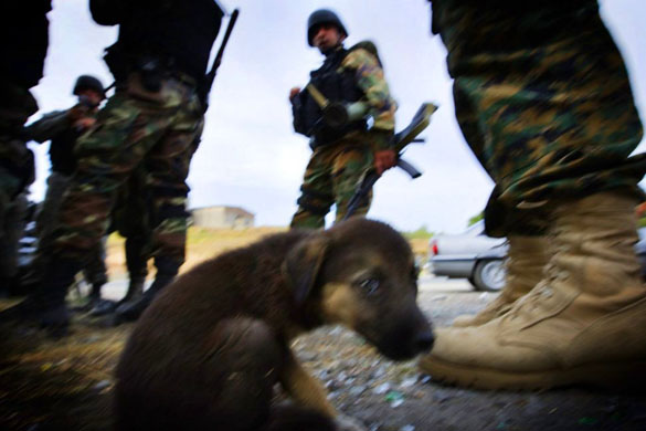 georgian soldiers regroup