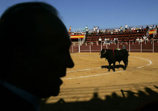 Bullfighter Frank Evans aka  El Ingles