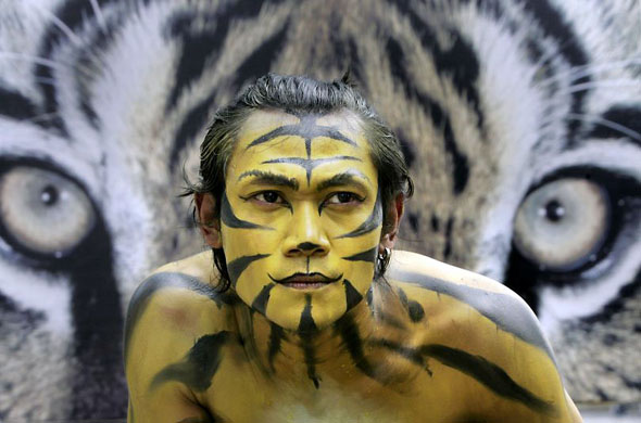 Jakarta, Indonesia: A WWF activist during a campaign for Sumatran tiger protection