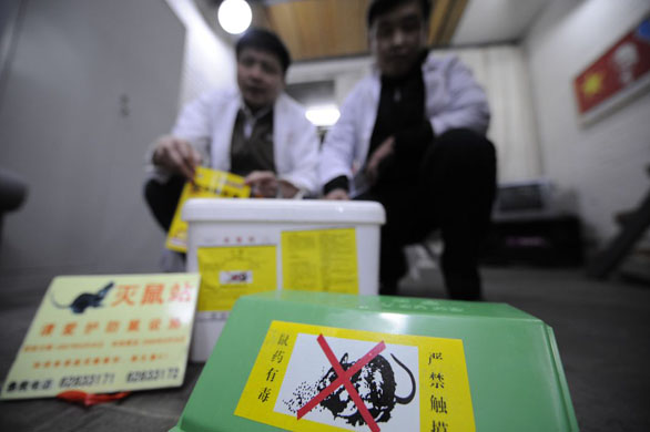 Chinese New Year preparations