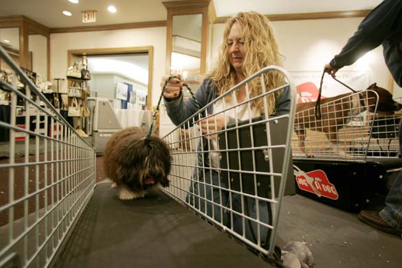 Westminster Kennel Club Dog Show
