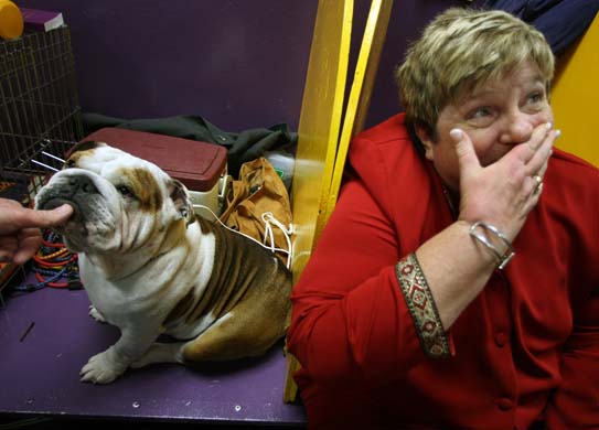 Westminster Kennel Club Dog Show